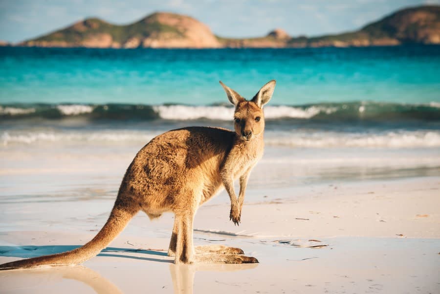 Australia - Image 1